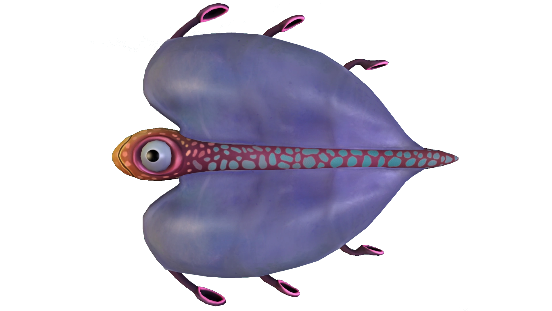 Bladderfish